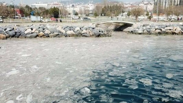 Mecliste müsilaj araştırma komisyonu kuruluyor