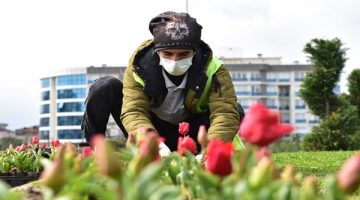 Tuzla lalelerle süslendi