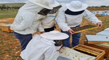 Kurslarımızla Köylerdeyiz  projesi 57 bin 832 kursiyere ulaştı