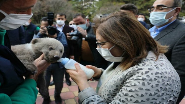 Gaziantep’de Dünya Sokak Hayvanları Günü kutlandı!