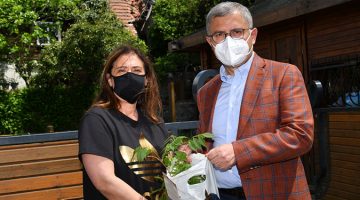 Evlerde mor salkımlar açacak