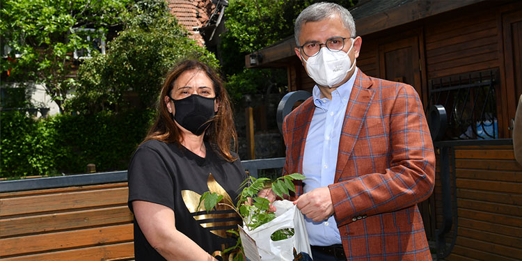 Evlerde mor salkımlar açacak