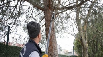 Atık dallar ile 5 bin aileye elektrik desteği