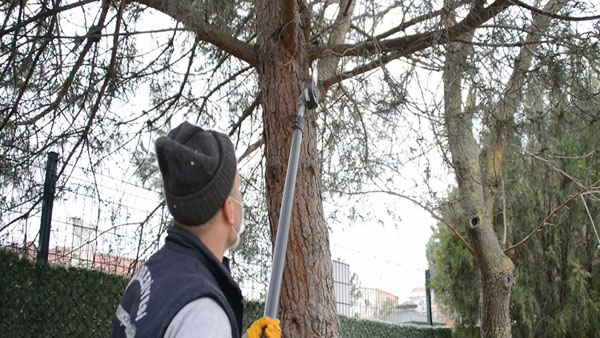 Atık dallar ile 5 bin aileye elektrik desteği