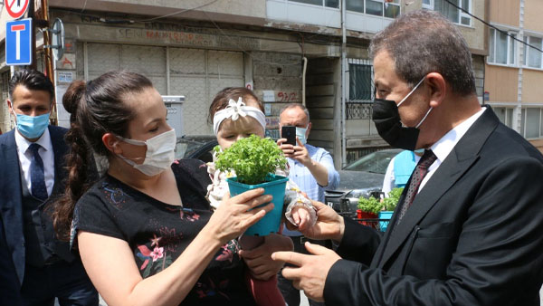 Fesleğen dağıtımına başlandı