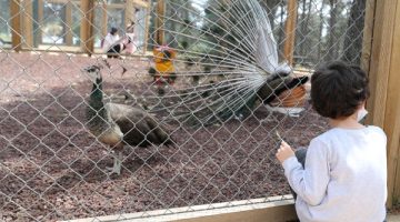 Ümraniye Millet Bahçesi yaza hazır!