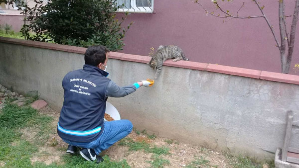 Ümraniye’de küçük canlar yalnız değil!