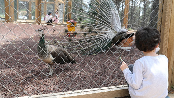 Ümraniye Millet Bahçesi yaza hazır!