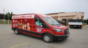Hayvan ambulansı hayat kurtarıyor