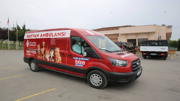 Hayvan ambulansı hayat kurtarıyor