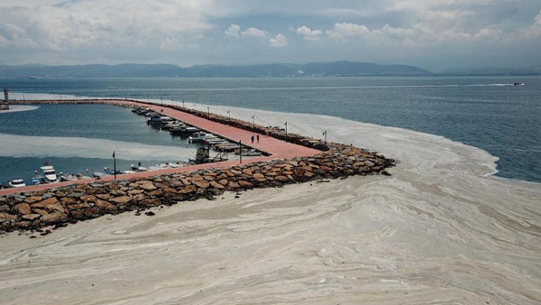 Darıca’yı müsilaj kapladı