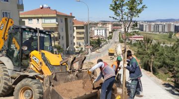 Pendik’te peyzaj çalışmaları sürüyor