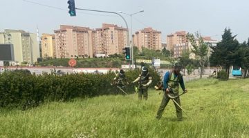 Pendik yabani otlarla mücadele ediyor