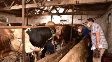 Tuzla’da kurban bayramı öncesinde sıkı denetim