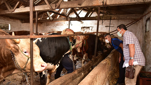 Tuzla’da kurban bayramı öncesinde sıkı denetim