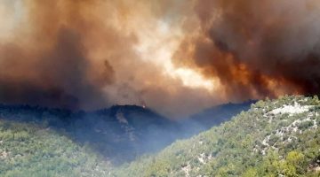 Manavgat alevler içerisinde kaldı