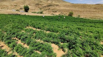 PKK’nın finans kaynağı ateşe verildi