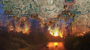 7 ille birlikte ciğerlerimiz yanıyor!