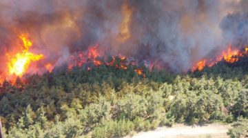 Hangi illerde ormanlara girişler yasaklandı?