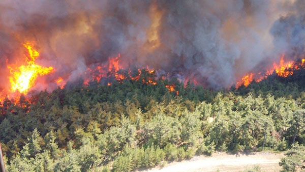 Hangi illerde ormanlara girişler yasaklandı?