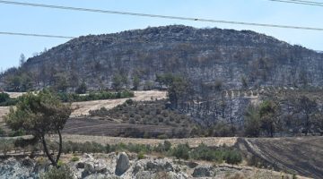 Üsküdar’dan 20 bin fidan desteği