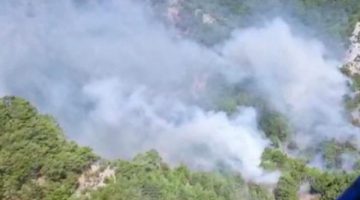 Ciğerlerimiz yanmaya devam ediyor! Kazdağları’nda yangın!