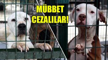 Müebbet Cezalılar! Tek kurtuluşları ise DNA testi!