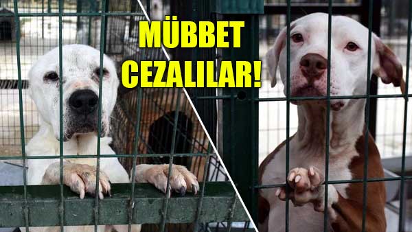 Müebbet Cezalılar! Tek kurtuluşları ise DNA testi!
