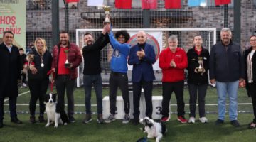 Köpeklerin şampiyonluk mücadelesi yoğun ilgi gördü