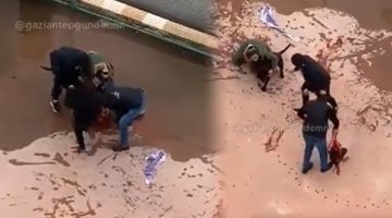 Gaziantep’te pitbull saldırısının sanıkları tahliye edildi!