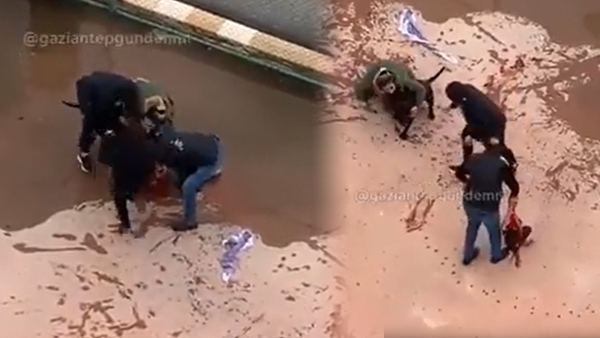 Gaziantep’te pitbull saldırısının sanıkları tahliye edildi!