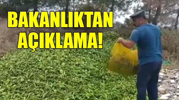 Bakanlıktan dökülen sebze görüntüleri hakkında açıklama