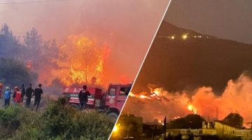 Yine Ciğerlerimiz Yanıyor!