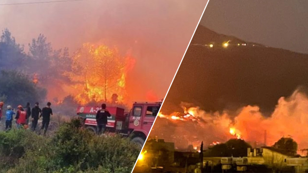 Yine Ciğerlerimiz Yanıyor!