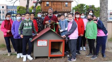 Sokak Hayvanları Günü’nde minik dostlara sürpriz