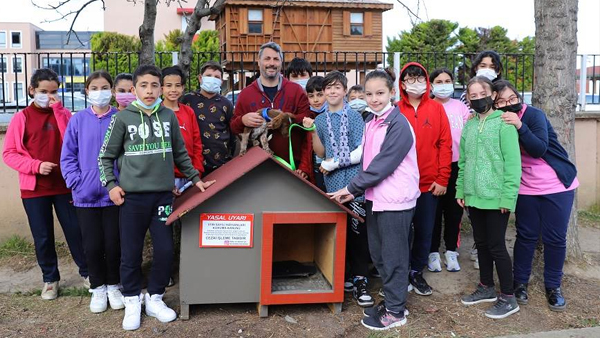 Sokak Hayvanları Günü’nde minik dostlara sürpriz