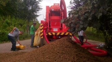 Patoz ücreti üreticinin cebini yakacak