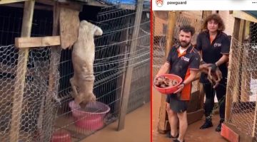 Bartın’da katliam var: Sel barınağı vurdu! Görüntüler içler acısı…