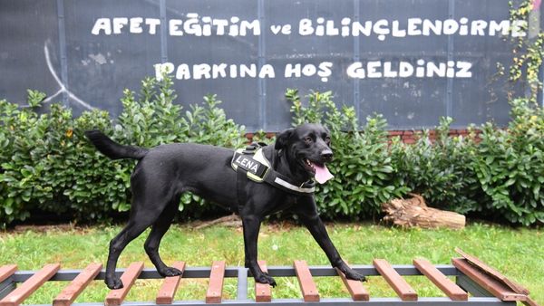 LENA ARTIK BAK KADIKÖY EKİBİYLE ARAMA ÇALIŞMALARINA HAZIR