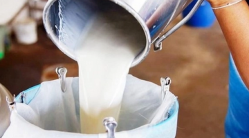 Çiğ süt alım fiyatı açıklandı!