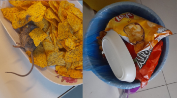 Cips skandalı: Paketten ölü fare çıktı… BİM’den konuyla ilgili açıklama geldi!