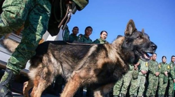 “Seni Unutmayacağız Proteo!”