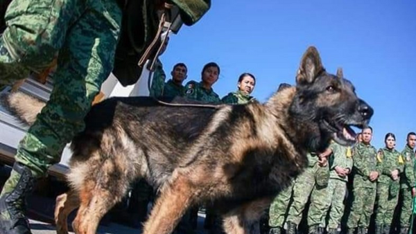 “Seni Unutmayacağız Proteo!”