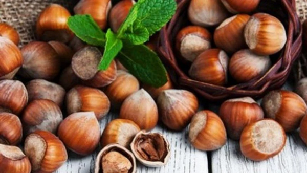 Fındık üreticisi beklentisini açıkladı!