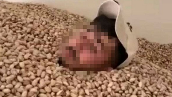 Bakanlıktan fıstık deposu görüntüleri hakkında açıklama!