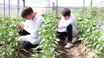 “SÜRDÜRÜLEBİLİR TARIM VE GIDA GÜVENLİĞİ” Dersinin Müfredatı Hazırlandı