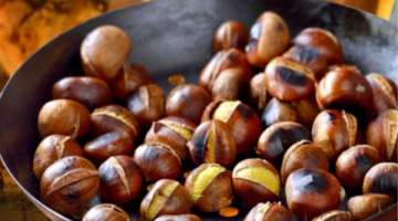 Kestane Değil Zehir !