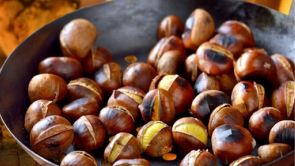 Kestane Değil Zehir !