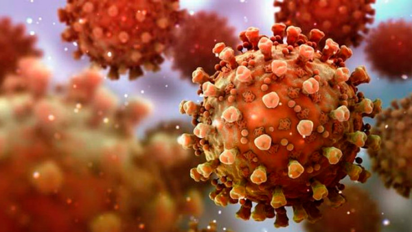 Çinde 8 günde beyni öldüren virüs deneyi!