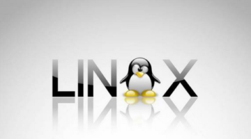 Linux’un Kullanım Oranı Arttı